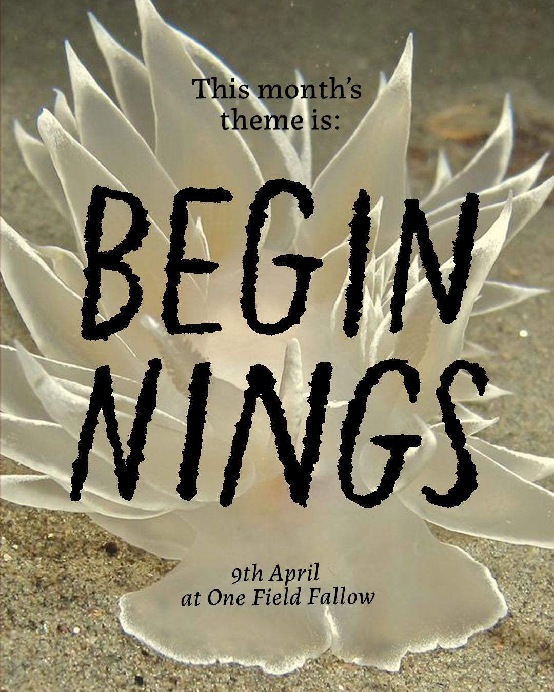 living room cover pic